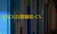CSOL白雾辅助-CSOL国服自动连跳免费版工具下载